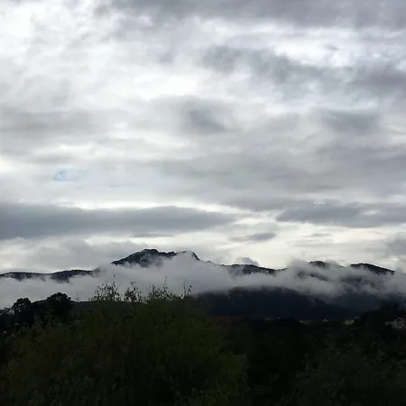 Paperkienea - Artandrelax * Hondarribia