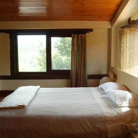 Paperkienea - Artandrelax *